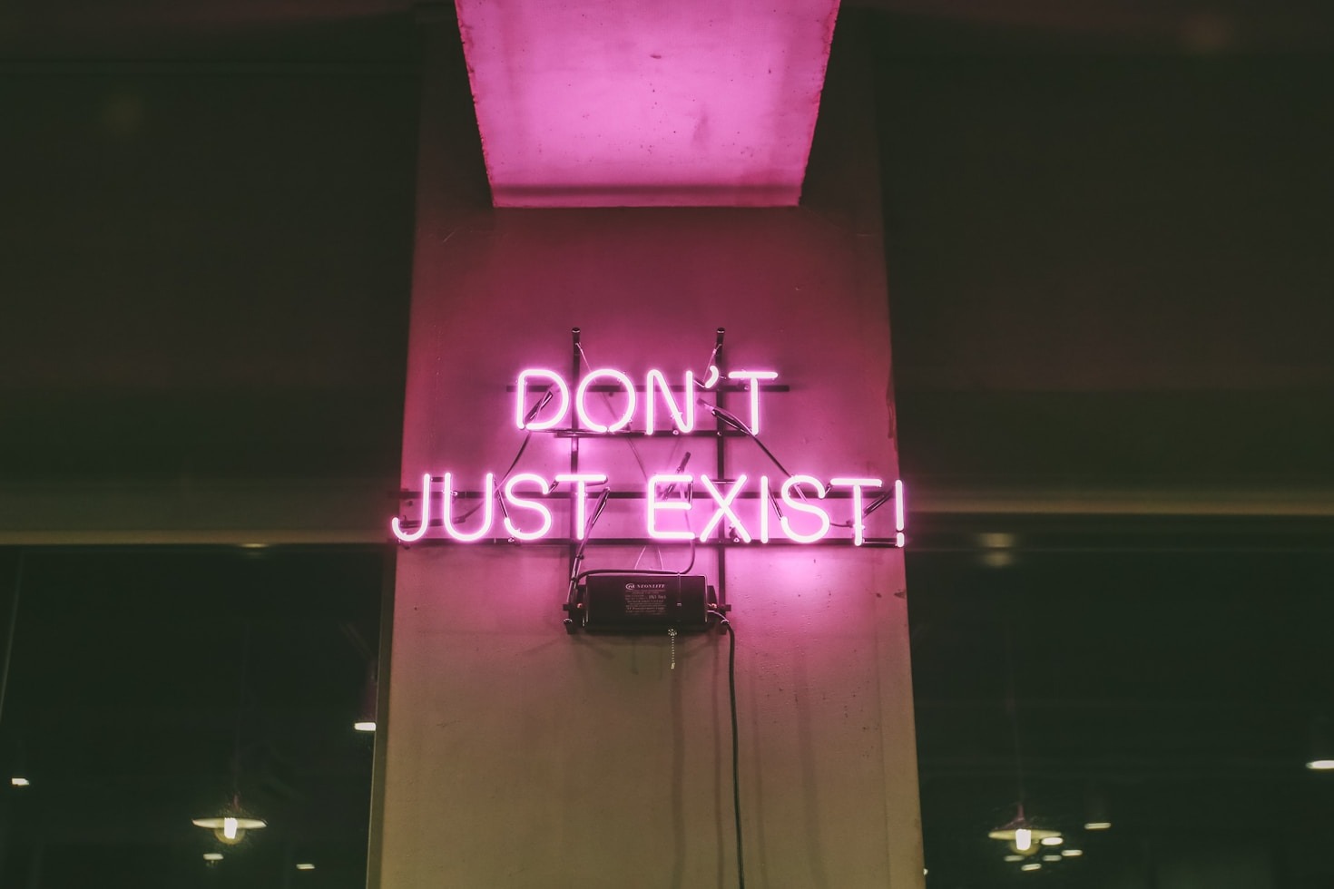 The Search for Purpose in a Chaotic World